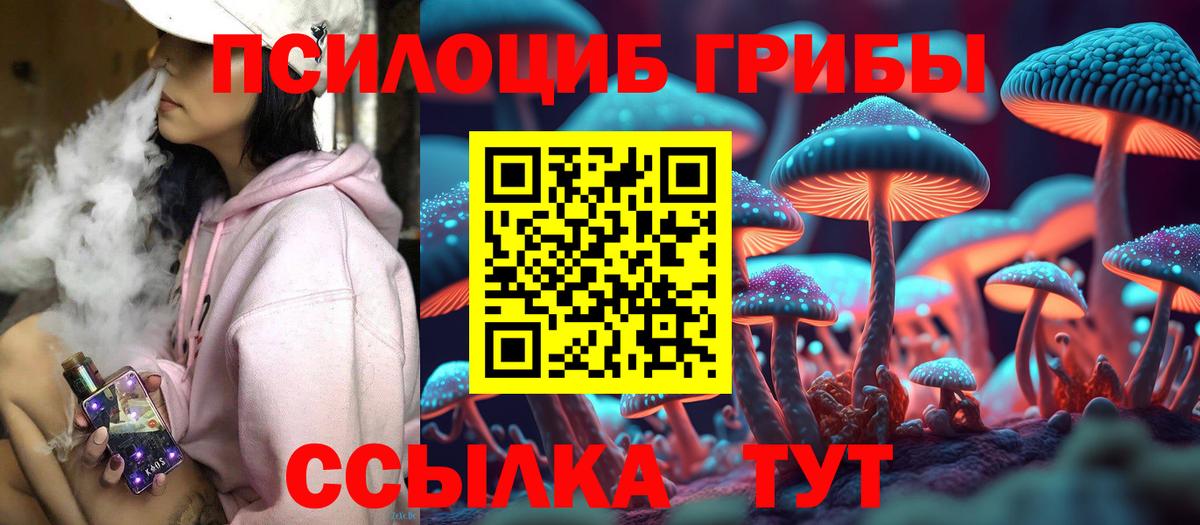 Галлюциногенные грибы мицелий  Вход с VPN  Галлюциногенные грибы мицелий  Кропоткин 