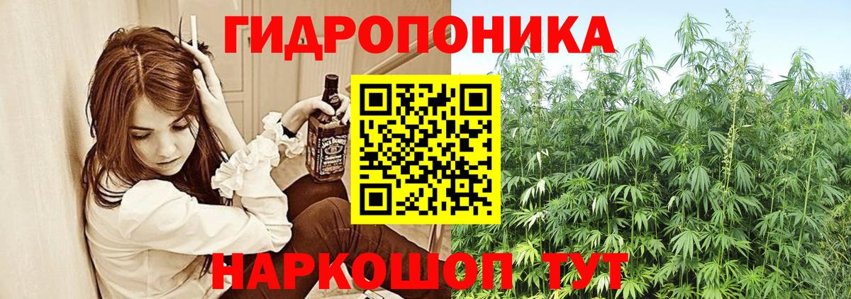 Конопля OG Kush Кропоткин